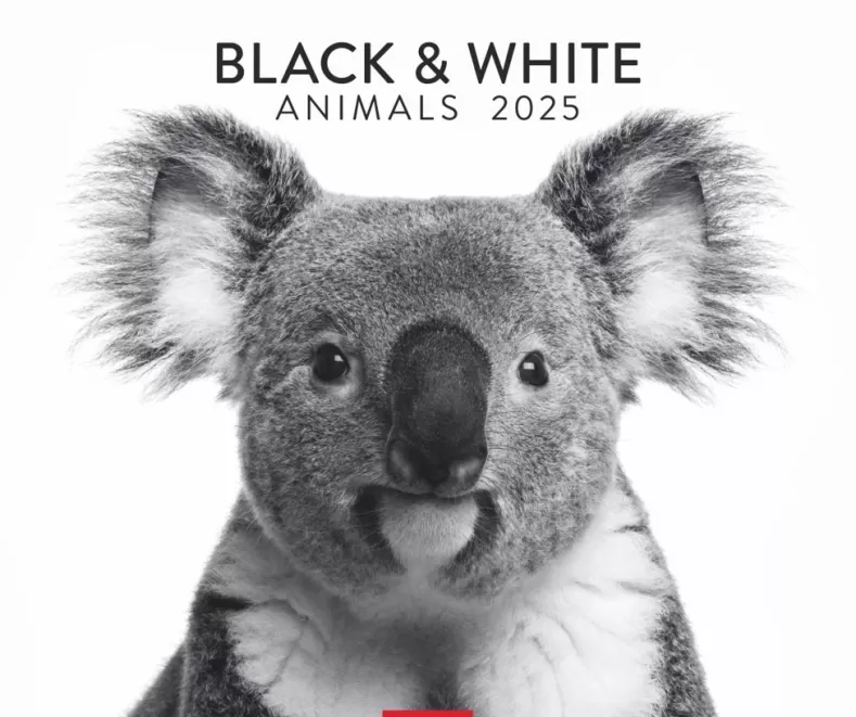 Weingarten Black & White Animals 2025