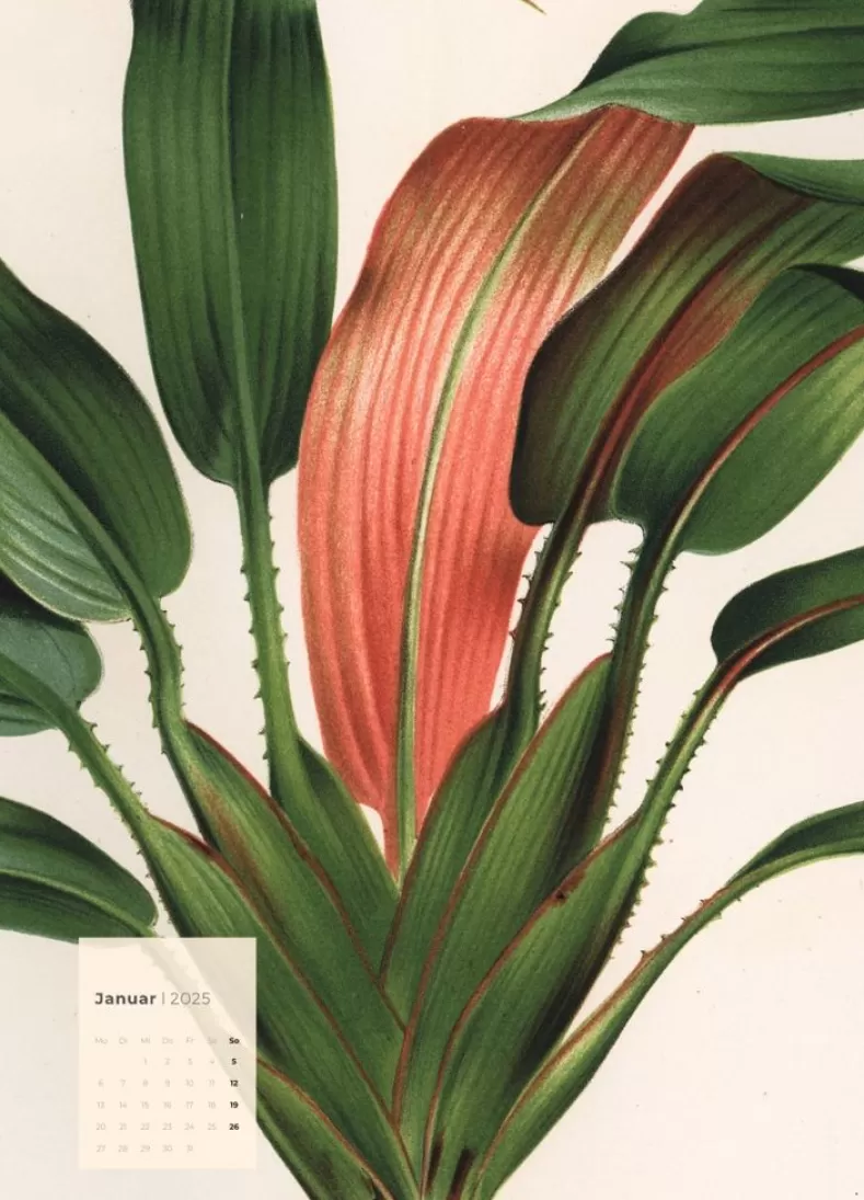 Weingarten Botanicals Kalender 2025