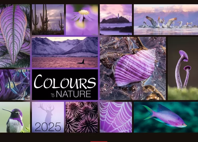 Weingarten Colours Of Nature Kalender 2025