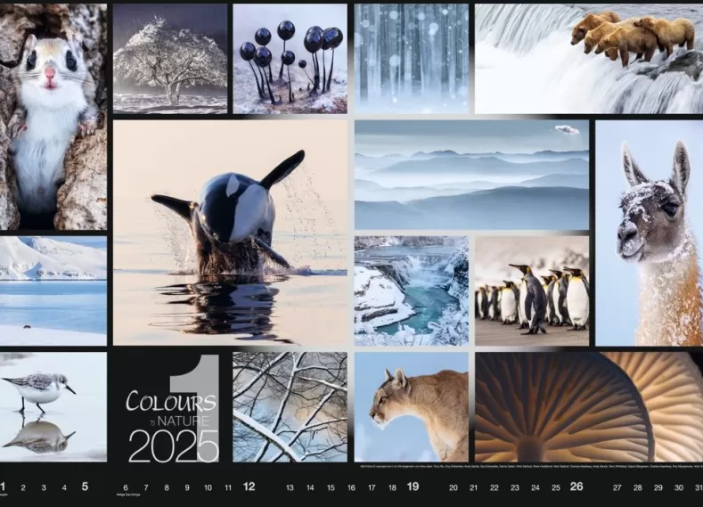 Weingarten Colours Of Nature Kalender 2025