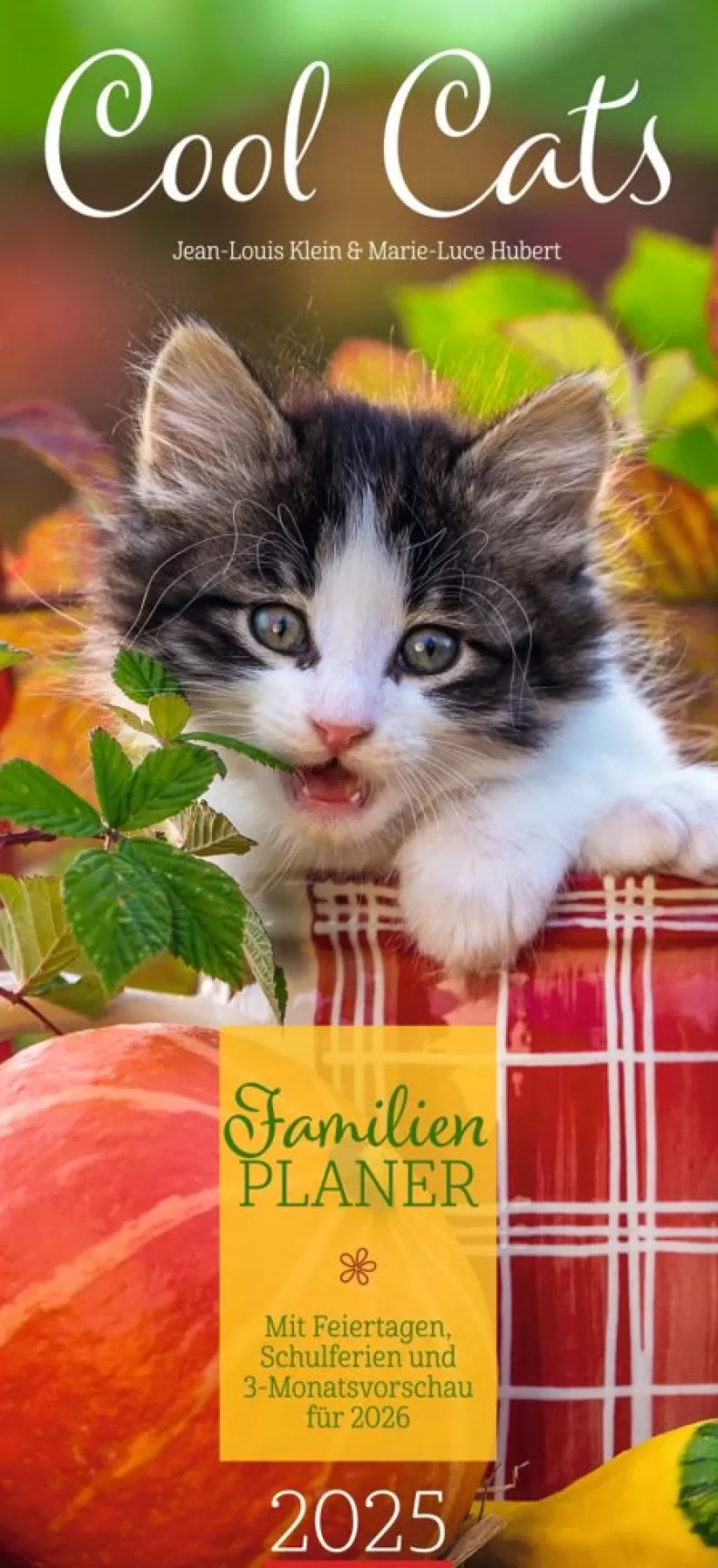 Weingarten Cool Cats Familienplaner 2025