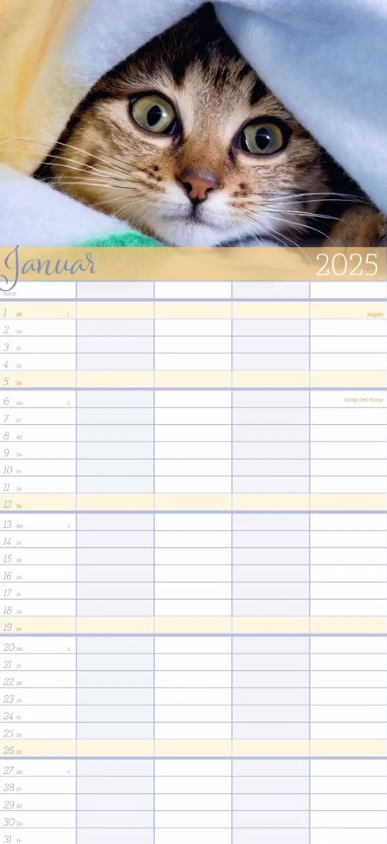 Weingarten Cool Cats Familienplaner 2025