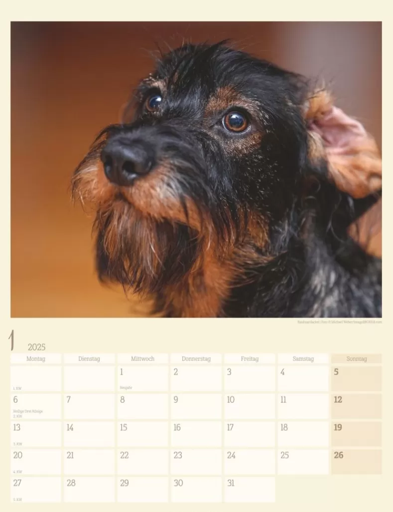 Weingarten Dackel Kalender 2025