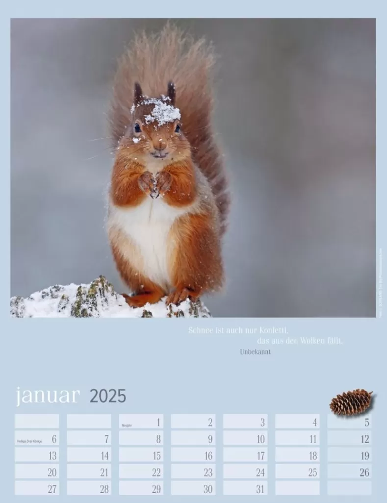 Weingarten Eichhornchen Kalender 2025
