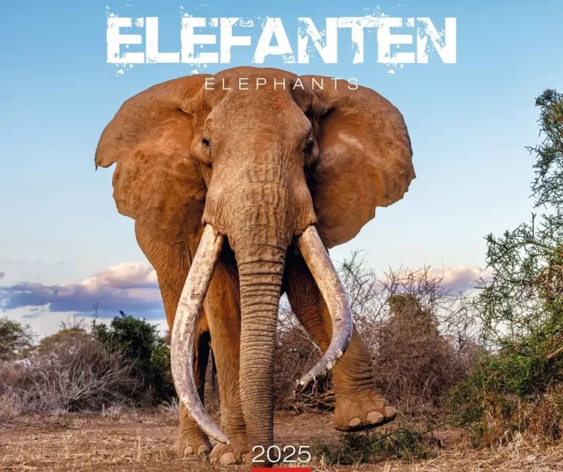 Weingarten Elefanten Kalender 2025