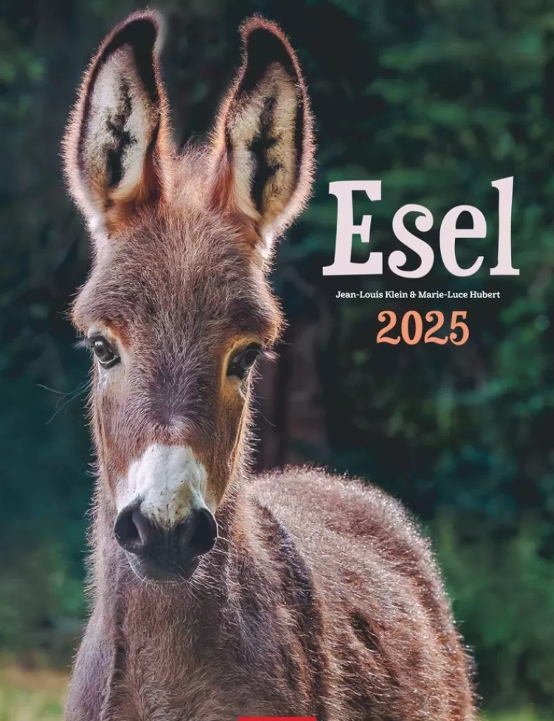 Weingarten Esel Kalender 2025