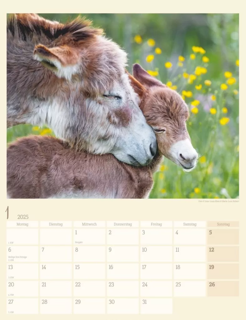 Weingarten Esel Kalender 2025