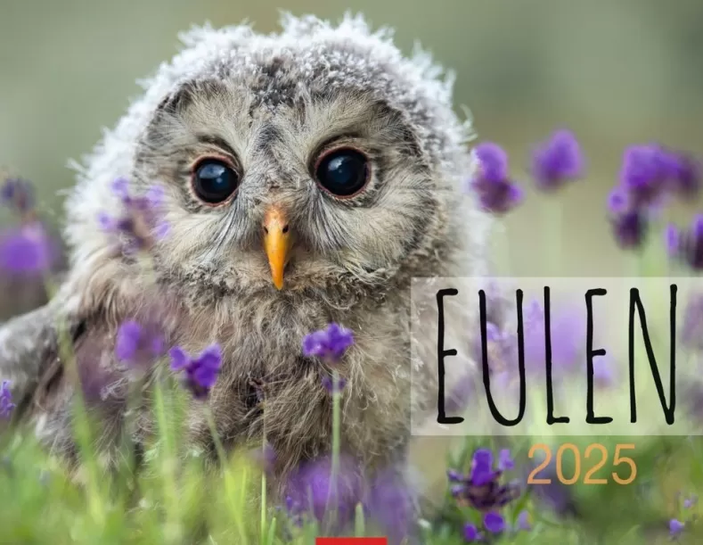 Weingarten Eulen Kalender 2025
