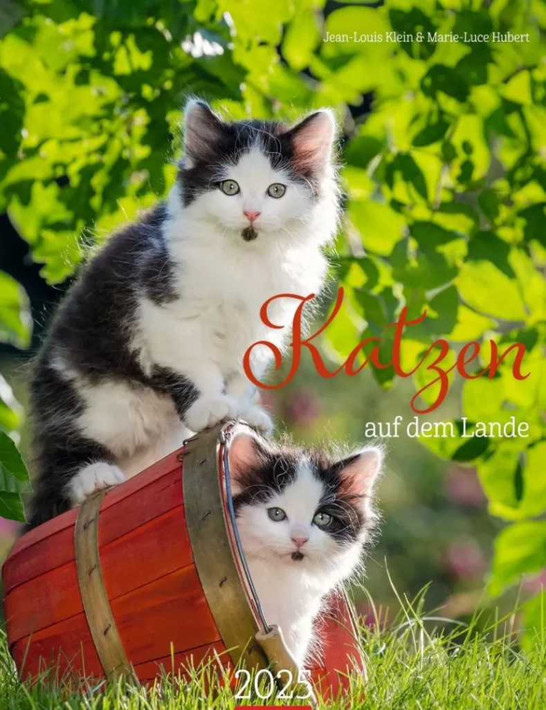 Weingarten Katzen Auf Dem Lande Kalender 2025