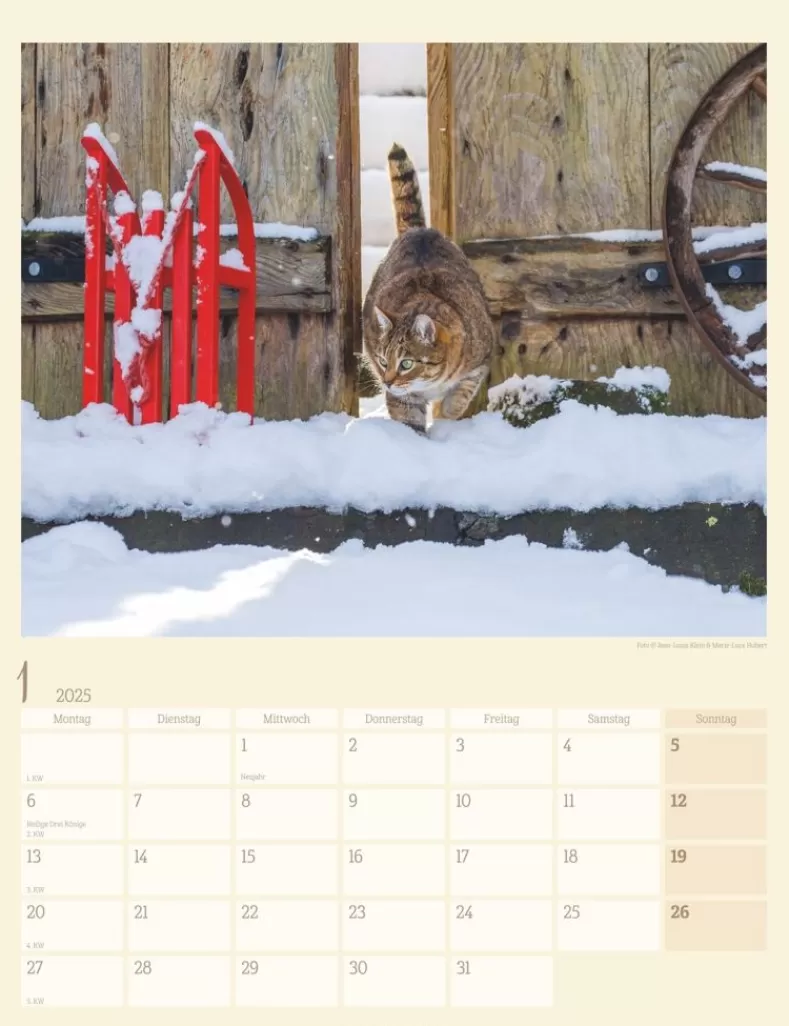 Weingarten Katzen Auf Dem Lande Kalender 2025