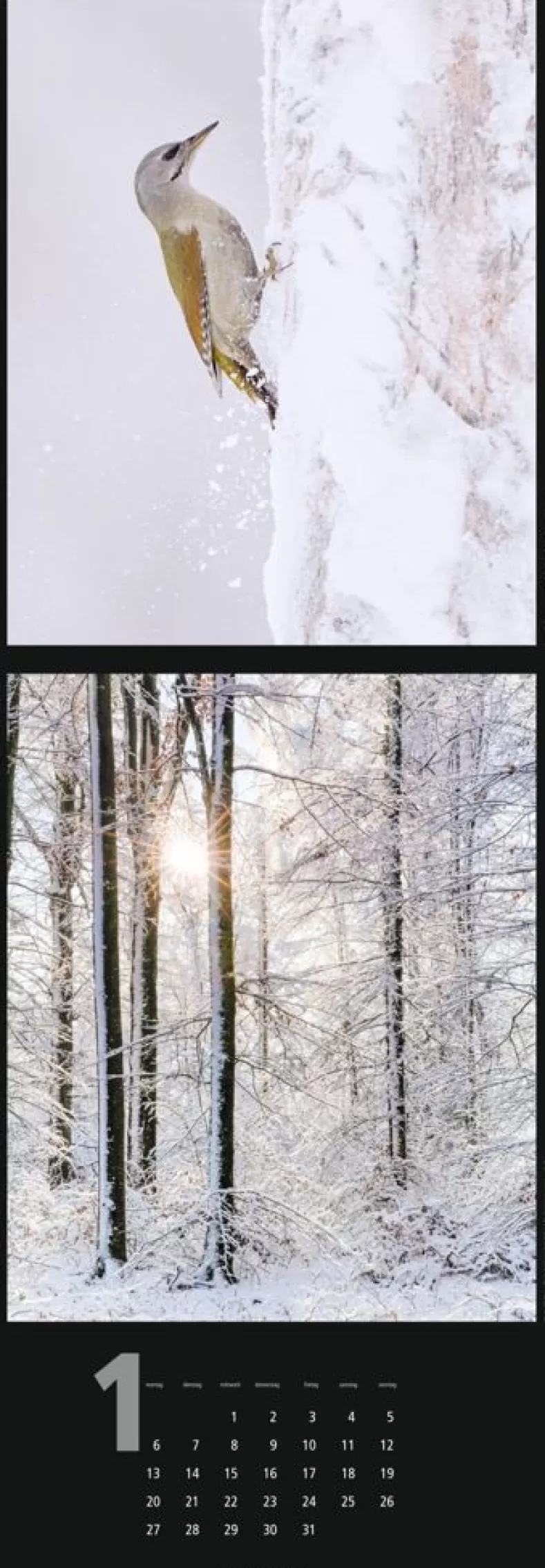 Weingarten Nature Nature Kalender 2025